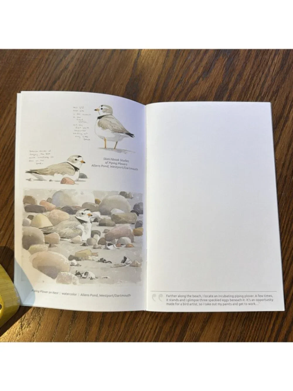 Mass‎ Audubon Field Journal